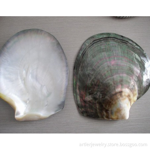 Black mother of pearl shell raw material